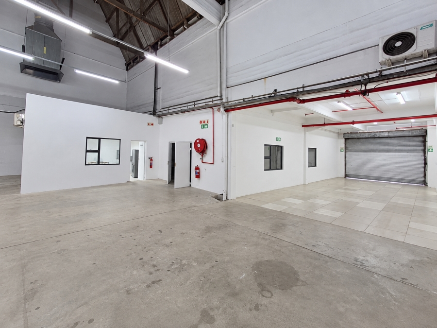 To Let Commercial Property for Rent in Arcadia Eastern Cape